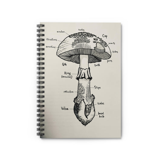 Spiral Notebook - Ruled Line