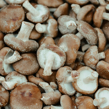 Shiitake - Dried